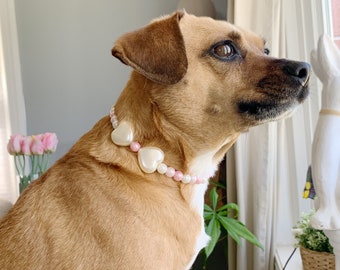 Perlenhalsband für Hunde