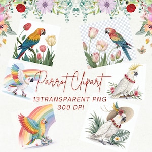 Parrot Clipart PNG Bundle Tropical Bird Art, Commercial Use (Digital Download)