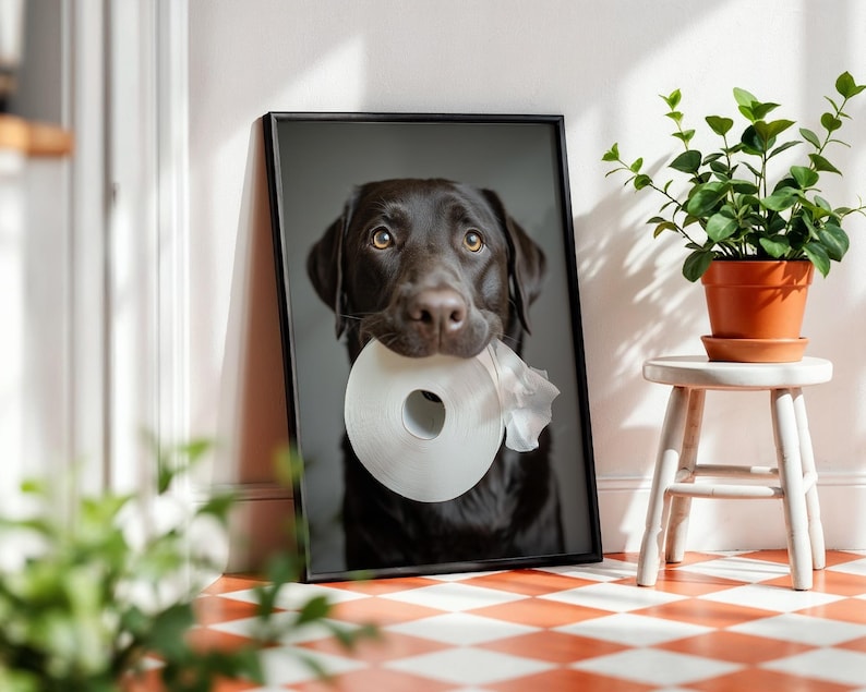 Puede incluir: Impresi&oacute;n enmarcada de un Labrador Retriever color chocolate sosteniendo un rollo de papel higi&eacute;nico en la boca. El perro tiene ojos marrones y un marco negro. La impresi&oacute;n est&aacute; apoyada contra una pared blanca junto a un peque&ntilde;o taburete blanco con una planta en maceta.