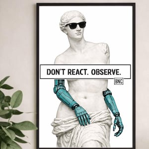 Puede incluir: Impresión enmarcada de una estatua clásica con gafas de sol y brazos robóticos azules. La obra de arte incluye el texto "DON'T REACT. OBSERVE." en un rectángulo blanco. La obra está enmarcada en negro.