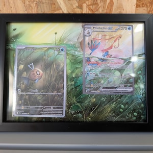 Cadre Pokémon SSP 237 + 198 / SV8 131 + 110 / Etincelles Déferlantes / Barpau + Milobellus / Feebas + Milotic