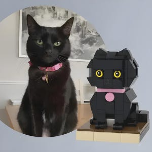 Custom Black Cat Brick Figure: Personalized Pet Keepsake