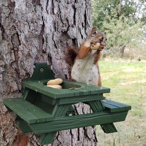 Squirrel Chipmunk Picnic Table Feeder