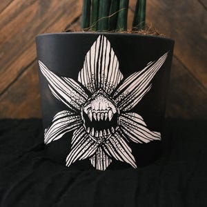May include: Black ceramic plant pot with a white floral design featuring a toothy, grinning face. The pot contains green, upright plants. The pot is sitting on a black surface, with a wooden background.