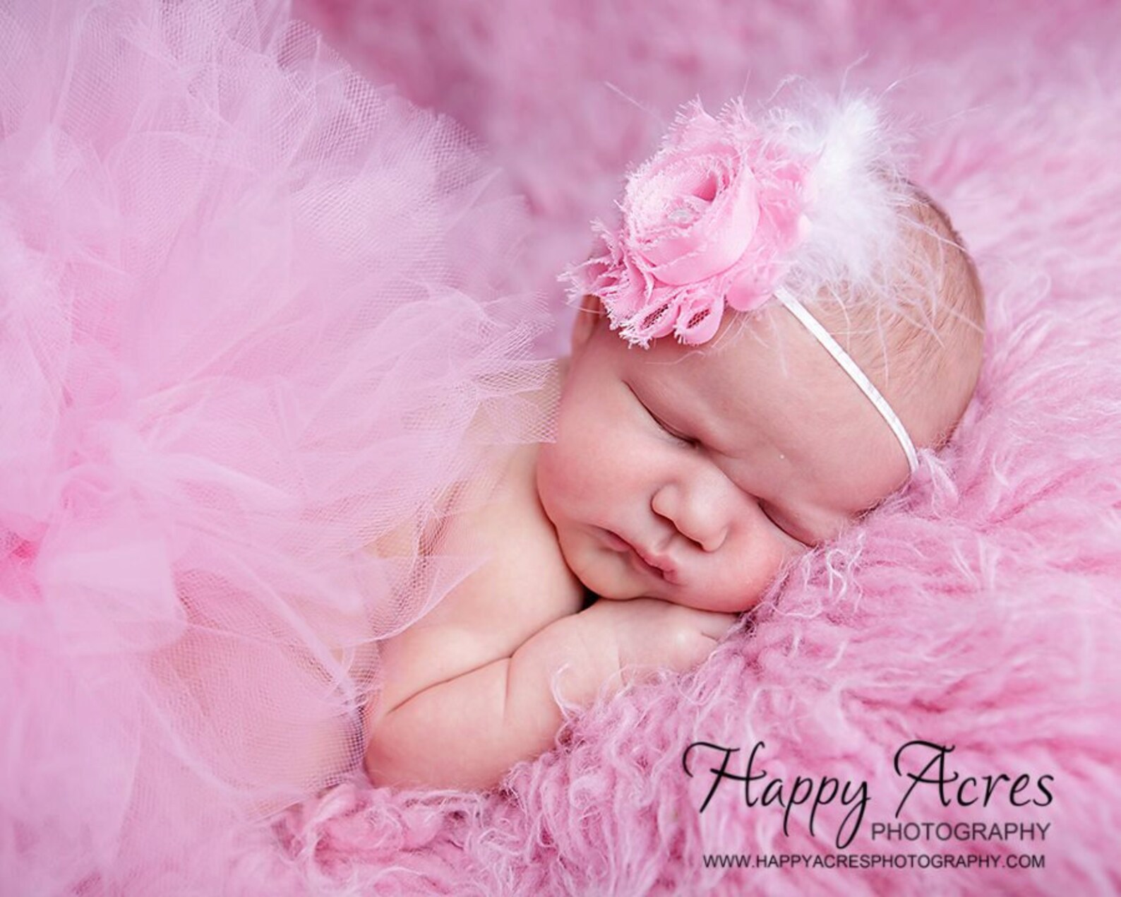 PLUM Princess....newborn Tutu Baby Tutu With Vintage Etsy