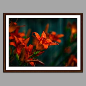Orange Flower Wall art, Flower designs, Floral wall decor, Flower Photography Digital Prints