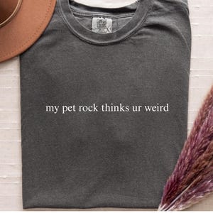 Gen Z Humor Comfort Colors Tee: My Pet Rock Thinks Ur Weird