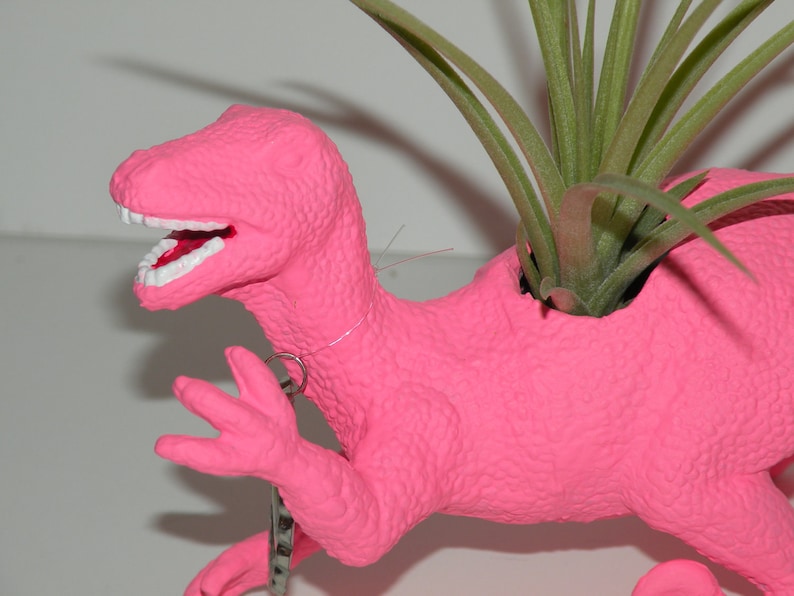 Diana the hot pink dinosaur planter including air plant.