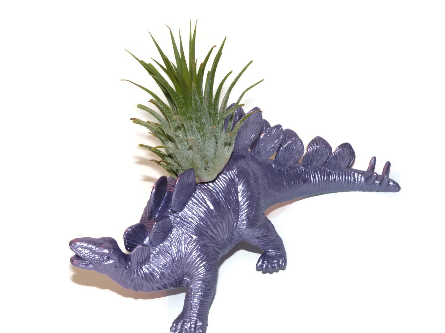 Dinosaur planter. Sally the Stegosaurus. Etsy