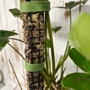 Plant tape. Give your plants the support they need. Re-useable plant tape.