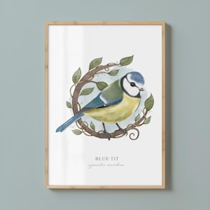 Blaumeise Art Print - Vogel Art Print - Natur Wandkunst - Öko Geschenk - Naturliebhaber - Wildtier Kunst - A5/A4