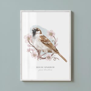 Vogel Kunstdruck - Spatz Vogel Druck - Natur Wandkunst - Öko Geschenk - Naturliebhaber - Wildtier Kunst - A5/A4