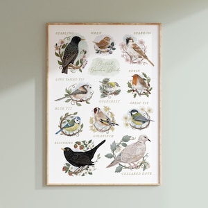 British Garden Birds Druck - Vogel Kunst - A4 Druck - Öko Geschenk - Naturliebhaber - Waldkindergarten