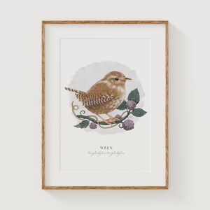Zaunkönig Druck - Vogel Kunstdruck - Natur Wandkunst - Öko Geschenk - Naturliebhaber - Wildtier Kunst - A5/A4