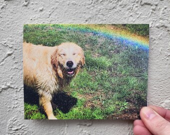 golden retriever card / smiling dog card / dog photography / rainbow / rainbow card / puppy love / dog lover gift / animal lover card