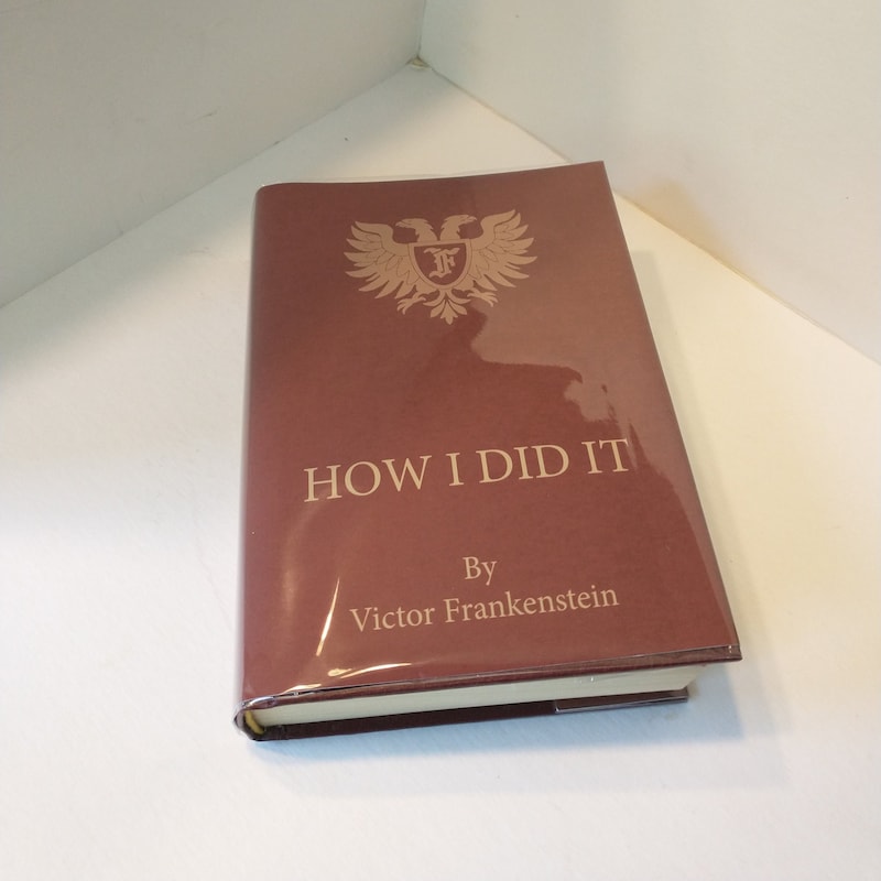 The If I Did It Book - Etsy