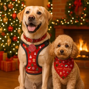 Może przedstawiać: Dwa psy, labrador i pudel, są na zdjęciu o tematyce bożonarodzeniowej. Labrador ma na sobie czerwoną uprząż i obrożę z świątecznymi wzorami. Pudel ma pasującą chustę. W tle choinka i kominek.