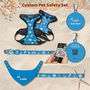 Custom Dog Tag Personalised Dog Collar Custom Pet Bandana Dog Harness Leash Dog Matching Set Cat Accessories Dog Birthday Personalised Gift