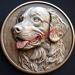 Labrador Retriever Portrait eines braven Jungen