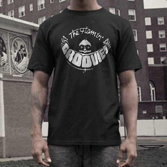 flamin groovies t shirt