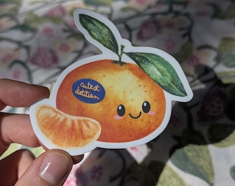 Cutest Dietitian Clementine Sticker | Registered Dietitian | Laptop, water bottle and notebook decal