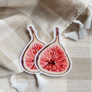 Adesivo in vinile a forma di fico: simpatico adesivo a forma di frutta per diari, agende e album di ritagli