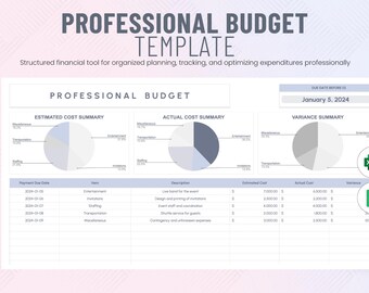 Plantilla de presupuesto profesional, planificador financiero mensual, registro de ingresos y gastos, hojas de cálculo de Google y Excel, hoja de presupuesto imprimible
