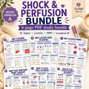 May include: A 6-page digital study bundle titled SHOCK & PERFUSION BUNDLE, featuring educational medical infographics on sepsis, lactate, MAP, and Levophed. The pages include diagrams, text, and icons explaining physiological processes in clinical care.
