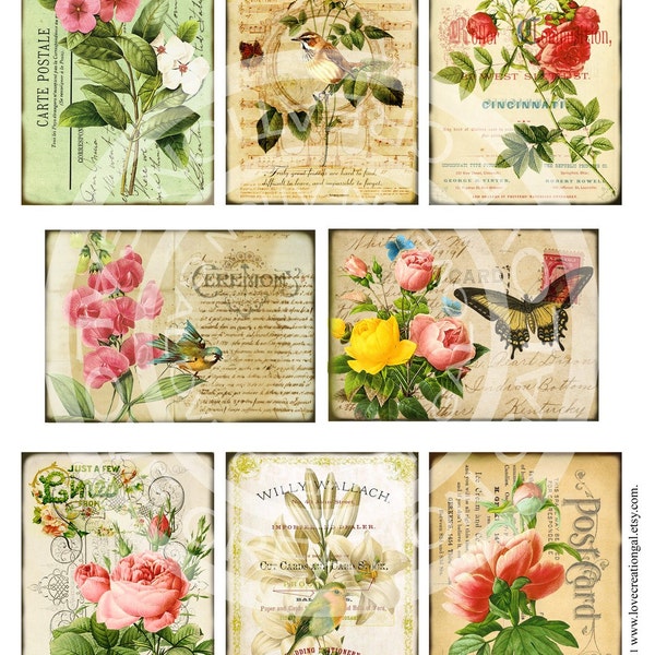 Vintage Birds Flower Rose Butterfly Botanical ledge French ACEO ATC Background Gift Tags Labels Card Digital Collage Sheet Images Sh080