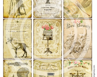 9 Vintage Victorian Flower Rose Shell Bird Nest Paris Frames Postcard French ACEO Gift Tags Labels Card Digital Collage Sheet Images Sh136