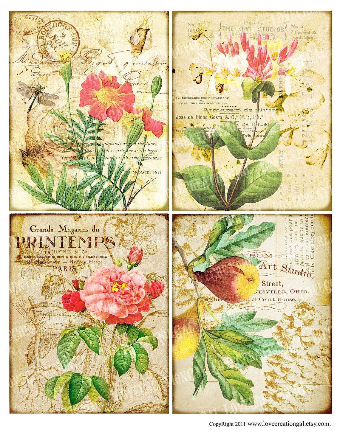 4x5 Vintage Birds Flower Rose Dragonfly Botanical Fruit French | Etsy