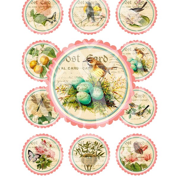 Dragonfly Bottle Cap Art Etsy