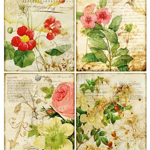 May include: A collage of four vintage botanical illustrations featuring various flowers and plants. The top left image shows a red flower with green leaves. The top right image shows a pink flower with green leaves. The bottom left image shows a white flower with green leaves. The bottom right image shows a white flower with green leaves and a red berry.