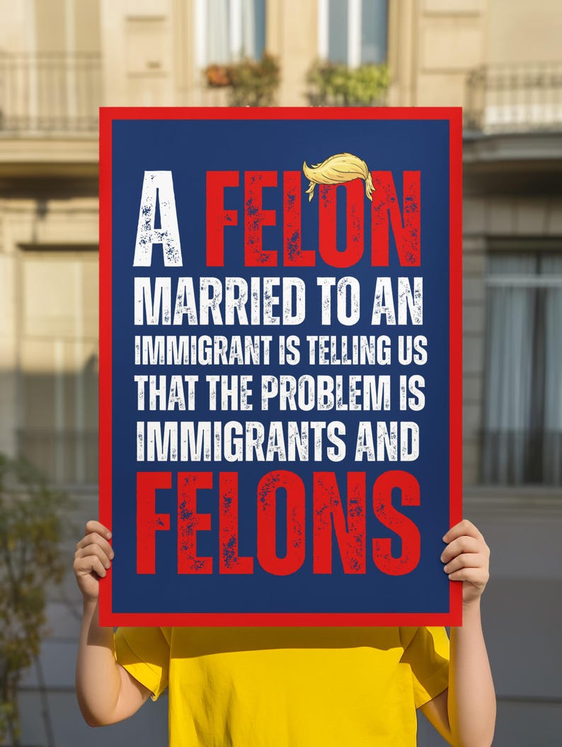 No Kings Protest Sign, A felon married to an immigrant is telling us that the problem is immigrants and felons protest sign, anti trump