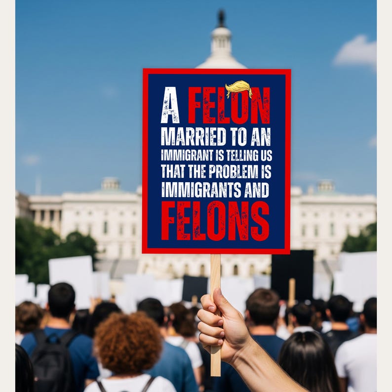No Kings Protest Sign, A felon married to an immigrant is telling us that the problem is immigrants and felons protest sign, anti trump