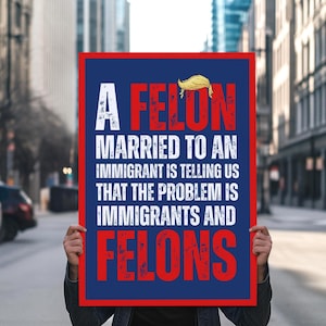 No Kings Protest Sign, A felon married to an immigrant is telling us that the problem is immigrants and felons protest sign, anti trump