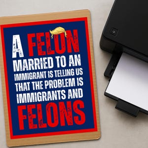 No Kings Protest Sign, A felon married to an immigrant is telling us that the problem is immigrants and felons protest sign, anti trump