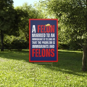 No Kings Protest Sign, A felon married to an immigrant is telling us that the problem is immigrants and felons protest sign, anti trump