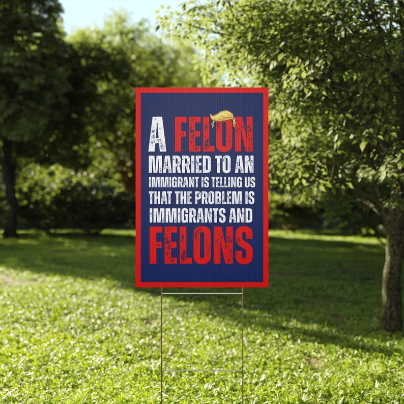 No Kings Protest Sign, A felon married to an immigrant is telling us that the problem is immigrants and felons protest sign, anti trump