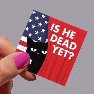 Gatto nero anti-Trump in formato PNG: design per maglietta di protesta (download digitale)
