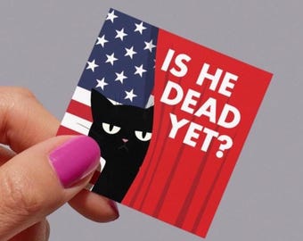 Snarky Anti Trump Black Cat PNG: Protest Shirt Design (Digital Download)