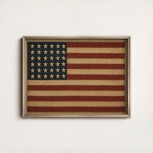 Stampa digitale vintage della bandiera americana Old Glory