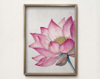 Vintage Lotus Flower Print, Antique Botanical Wall Art, Pink Floral Study Digital Download