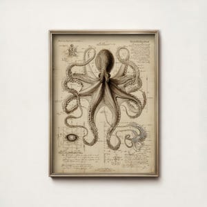 Può includere: Stampa incorniciata in tonalità seppia con un'illustrazione dettagliata di un polpo con i suoi tentacoli estesi. Il polpo è centrato su uno sfondo in stile vintage con diagrammi scientifici e note manoscritte. La cornice è sottile e color oro metallizzato.