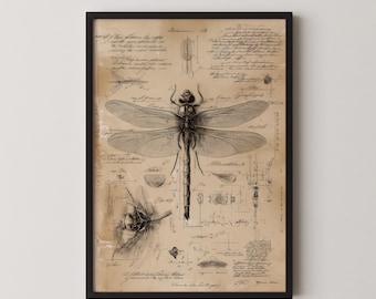 Stampa anatomica di libellula, decorazione gotica, arte murale vintage con insetti