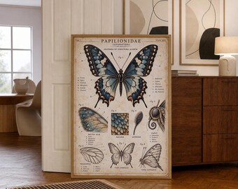 Vintage Butterfly Anatomy | Victorian Natural History Style | Office Decor | Wall Art Print