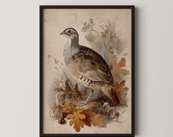 Peut inclure: Une impression vintage encadrée d'un oiseau, avec une illustration détaillée d'un perdrix. L'oiseau a des plumes brunes et beiges, se tenant au milieu de feuilles d'automne et de feuillage. L'œuvre est sur fond crème.
