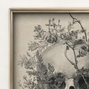 Close up of detailed skull drawing with hatching lines and floral elements for dark academia decor.