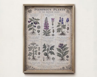 May include: A framed botanical print titled Poisonous Plants of the British Isles, featuring six detailed illustrations of plants including Atropa belladonna, Digitalis purpurea, Aconitum napellus, Conium maculatum, Datura stramonium, and Hyoscyamus niger.