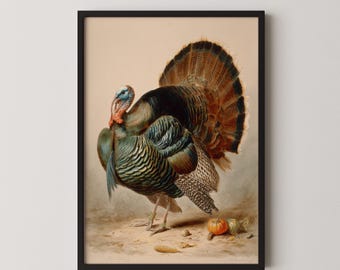 Puede incluir: Impresión enmarcada de un pavo macho con plumaje vibrante. El pavo muestra una cola en abanico con plumas marrones y negras, y plumas iridiscentes verdes y azules en su cuerpo. Una pequeña calabaza y maíz en la parte inferior.
